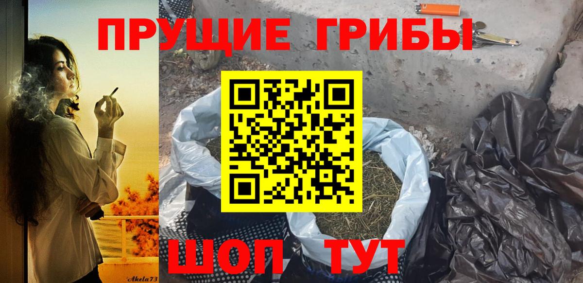 Псилоцибиновые грибы прущие грибы Стерлитамак